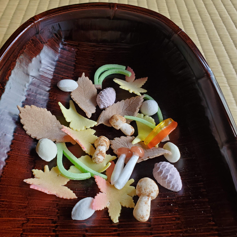A wonderful collection of dried sweets that mimic things found on the forest floor (fallen leaves, mushrooms, pine needles).