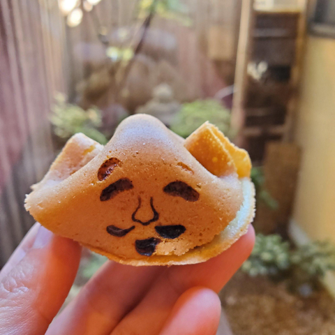 An unusual sweet that celebrates the autumn festival at Ebisu-jinja. A pancake is folded and branded to look like the head of the god Ebisu.