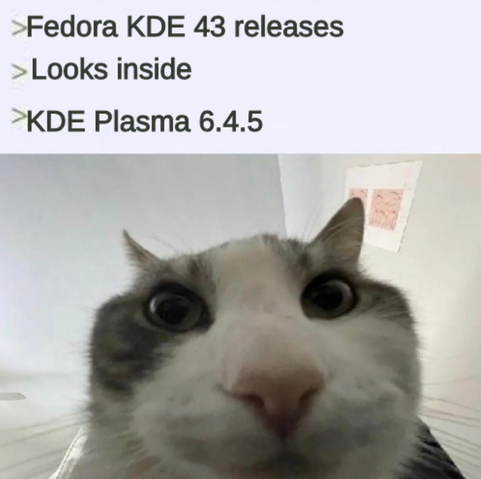 > Fedora KDE 43 release
> Looks inside
> KDE Plasma 6.4.5
> Cat with bemused expression