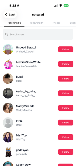 Loops app showing an accounts followings