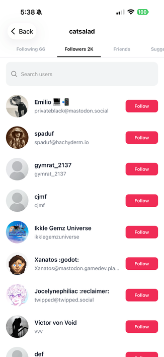 Loops app showing an accounts followers