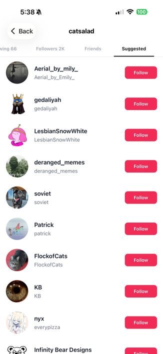 Loops app showing an accounts suggested follows