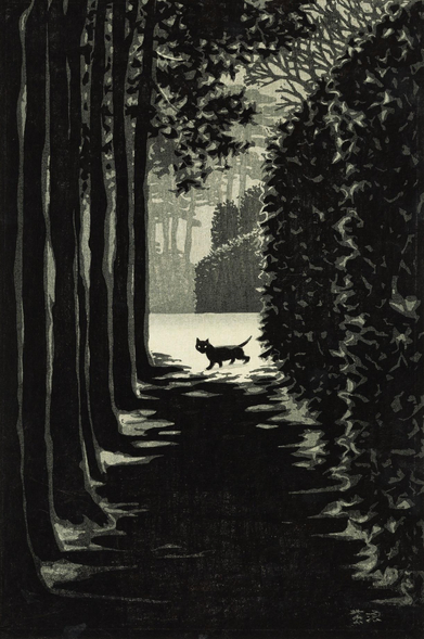 An evening view down a shadowy, narrow path: on our left, the trail is bordered by a line of tall trees, while a healthy trimmed hedge forms a wall on our right. At the far end of the path, a little black cat pauses in a pool of moonlight, her eyes glowing in the dark as she glances in our direction.