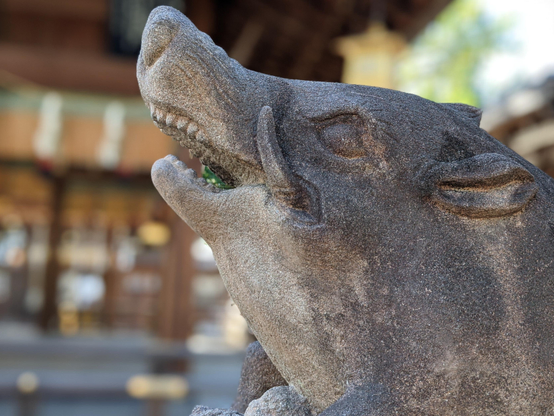 Guardian boar statue at Goo-jinja.