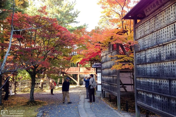 Autumnal colors at Seiryoji Temple in the Sagano area of Kyoto, Japan.