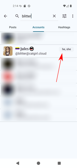 Pachli Current screenshot showing search results for accounts, with the pronouns of an account included in the results.
