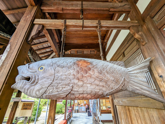 Manpuku-ji's 'kaipan' is a fish-shaped board struck to alert monks to mealtimes, lectures and daily tasks.
