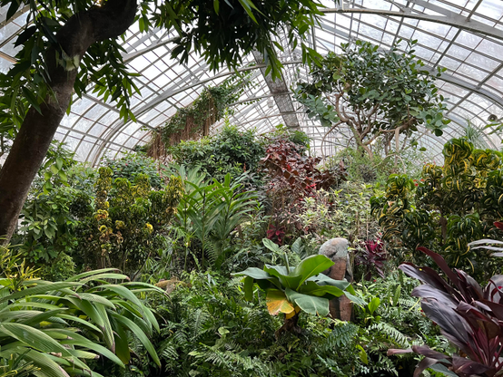 A wide variety of green trees and bushes in a large greenhouse. Almost the entirety of the photo is of green trees and bushes, but with a few red and maroon plants mixed in. 