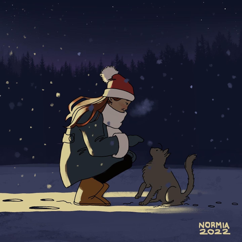 A night scene where we can see a young woman playing with a cat in the snow. Light come from the left.