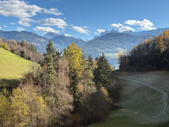 Photo of a panorama in South Tyrol with the Dolomites in the back. 