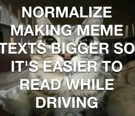 A picture of a cat, completely covered with large text that reads: normalize making meme texts bigger so it's easier to read while driving.