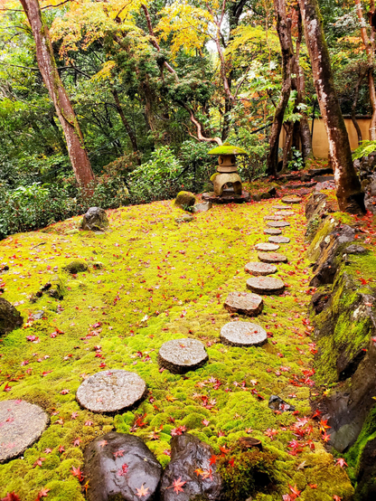 Moss garden and fallen leaves at Yusai-tei.