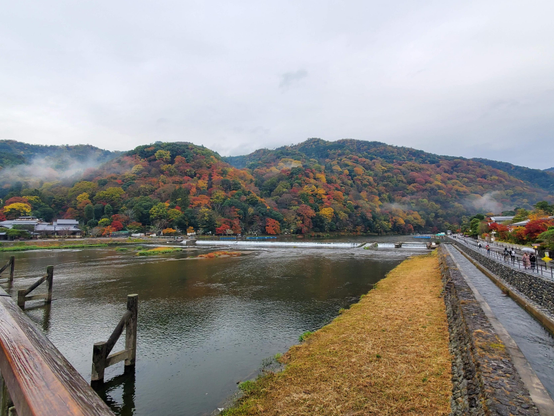 The mountains slowly become a patchwork of colour as autumn deepens in Arashiyama.