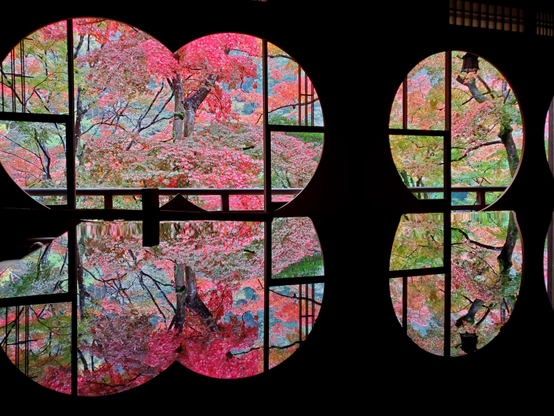 Autumn colours peek through the windows at Yusai-tei, perfectly reflected in the polished table in the sitting room.