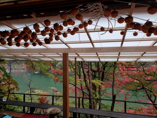 Persimmons strung up at Yusai-tei, with the Oi-gawa below.
