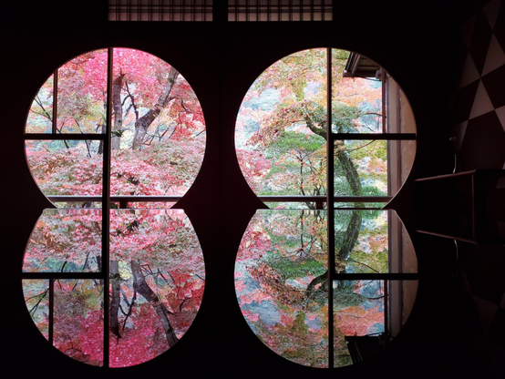 Autumn colours peek through the windows at Yusai-tei, perfectly reflected in the polished table in the sitting room.