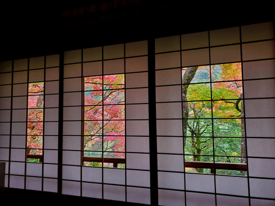 Autumn colours peek through the windows at Yusai-tei.
