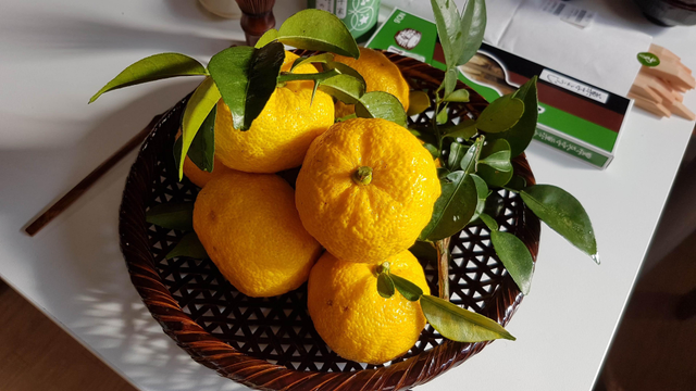 A bowl of gorgeous looking mikan being prepared for presentation in the tea room.