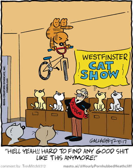 Original Heathcliff comic from May 17, 2016
New caption: "Hell yeah!! Hard to find any good shit
like this anymore!"
Comment by: TrevMitch9312

In the image, a cartoon shows a judge, wearing a black and white suit, standing on a podium next to a large banner that says "Westfincaster Cat Show." Several cats are gathered around, some sitting in the chairs while others stand or sit on the judge's shoulders. One cat appears to be wearing a hat. The scene takes place in a room filled with various chairs, a bike, and a backpack.