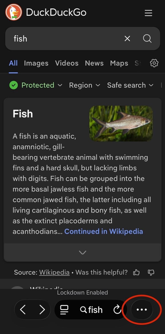 a screenshot of the Safari mobile browser in iOS 26 showing a DuckDuckGo search result page for the word “fish” 
 
at bottom right, a red oval highlights the ellipses menu (…) that you now need to tap to bring up more options – this is where formerly a tabs button (icon) was displayed that would launch the tab picker screen with a single tap