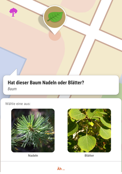 Hat dieser Baum Nadeln?