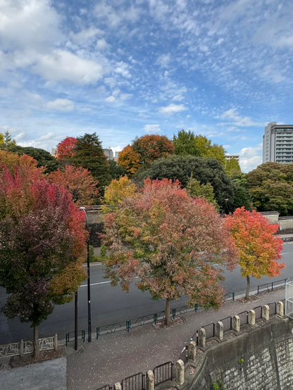 View from Hijiri Bridge towards Yushima Seido, a Confucian temple in the Bunkyo Ward of Tokyo, Japan.