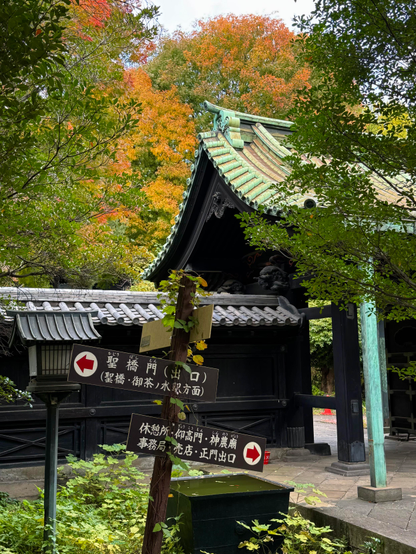 Early autumn colors at Yushima Seido, a Confucian temple in the Bunkyo Ward of Tokyo, Japan.