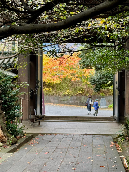 Early autumn colors at Yushima Seido, a Confucian temple in the Bunkyo Ward of Tokyo, Japan.