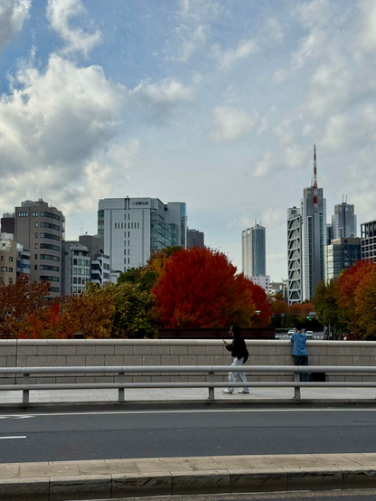 View of early autumn colors across the street on Hijiri Bridge in Tokyo, Japan