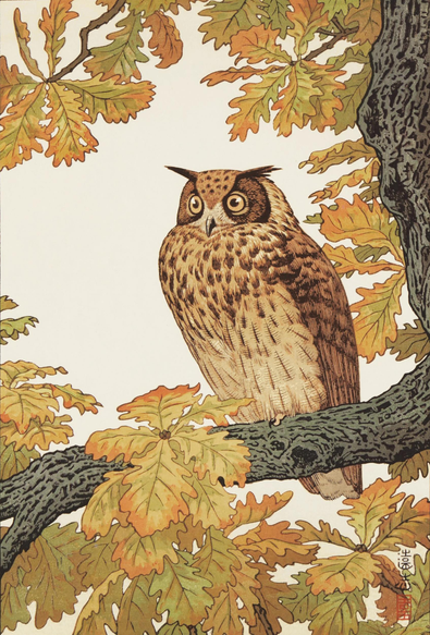 An impressive-looking eagle owl sits on a tree branch, surrounded by autumn foliage. Its attention is focused somewhere off to our left, its large golden eyes zeroing in on something out of sight, beyond the borders of the image.