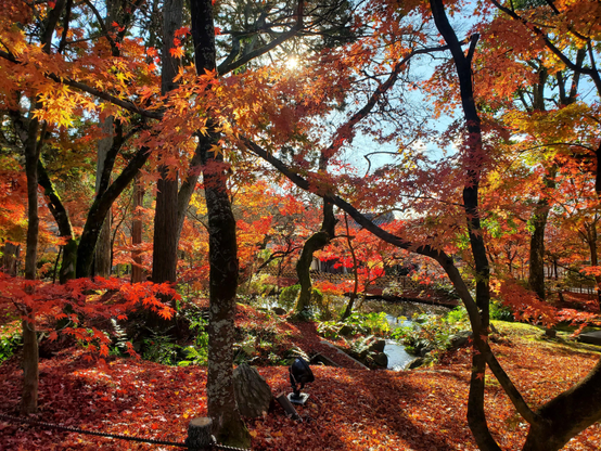 Autumn at Eikan-do.