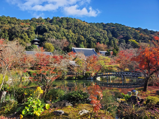 The pond at Eikan-do (with pagoda on the mountain behind).