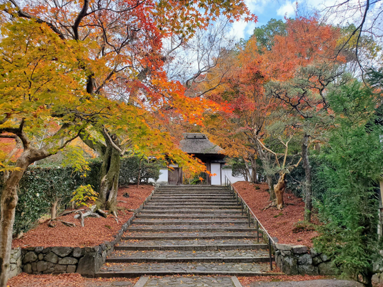 The rustic gate of Anraku-ji in autumn.
