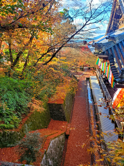 The grounds of Eikan-ji in autumn are filled with beautiful reds and yellows, the gardens a carpet of colourful fallen leaves.