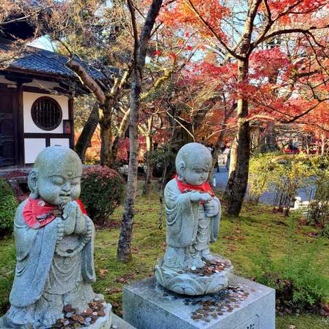 The grounds of Eikan-ji in autumn are filled with beautiful reds and yellows, the gardens a carpet of colourful fallen leaves.