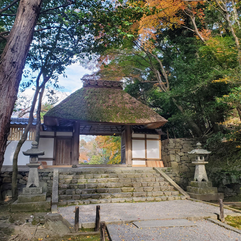 Thatched gate at Honen-in.