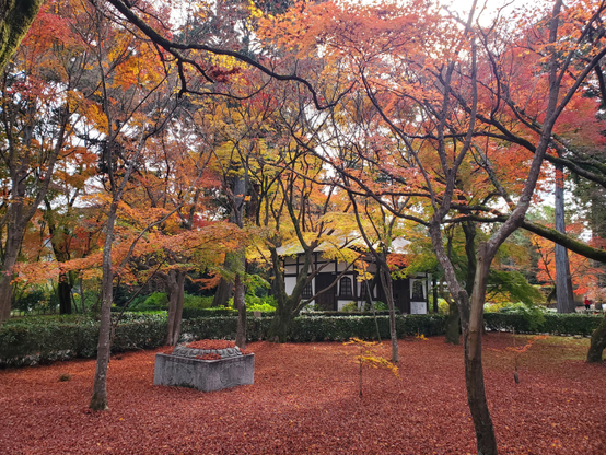 The late autumn grounds at Shinnyo-do.