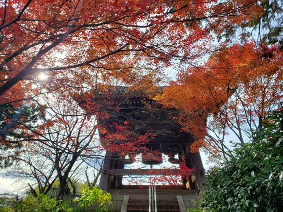 The late autumn grounds at Shinnyo-do.