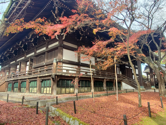 The late autumn grounds at Shinnyo-do.