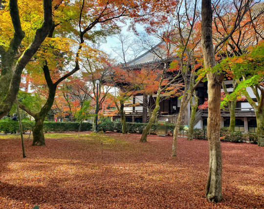 The late autumn grounds at Shinnyo-do.