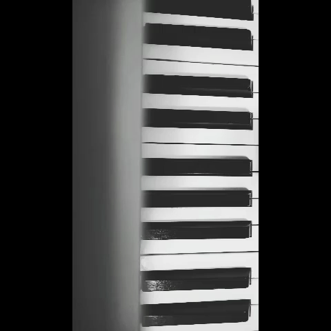 Black-and-white vertical video showing about one and a half octaves of piano keys, from above.
My hands float and stretch through it, playing.
The video is tilted to its side, meaning that my fingers are constantly pointing to the left side of the screen.

Sound-wise, this is a slow and thoughtful piece in D-flat major.
The question asked by its title is, in my opinion, shown through open-ended phrases. The melody keeps pointing upwards, not really receiving a stable answer.
The piece also ends in an open way, with the melody ending on the third, so it kind of feels like there's no cadenza happening.
Please feel free to ask me about it as well, if you like of course.