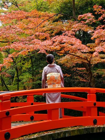 Admiring the autumn leaves from Uguisu-bashi (bridge).