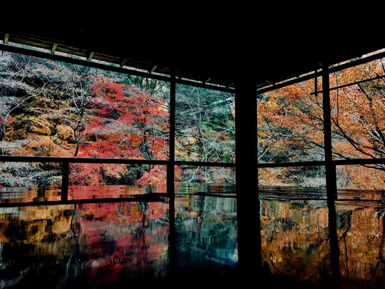 A lacquered floor is the perfect way to enjoy the autumn leaves, caught in the reflection of the dark wood.