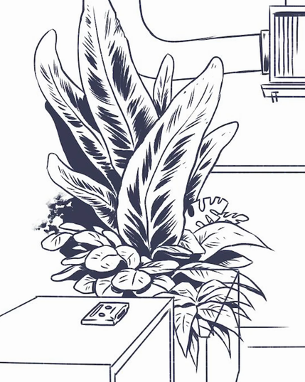 A time lapse recording of a drawing made in Krita. The drawing shows several plants, some of which of tropical nature, stacked against a wall. Some are on the floor some on shelves. The time lapse shows the black&white ink-style drawing being made.