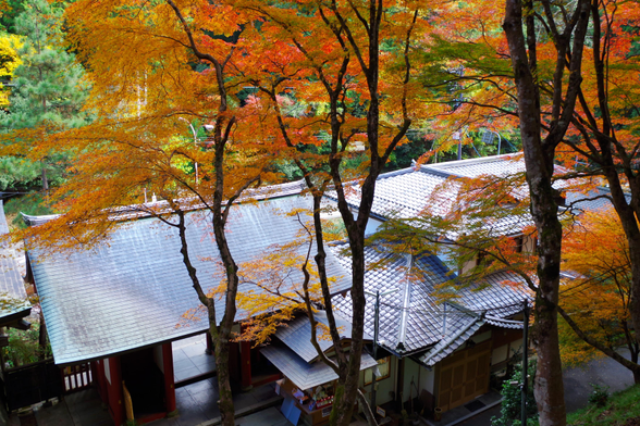 Looking down at Otagi Nenbutsu-ji's gate.