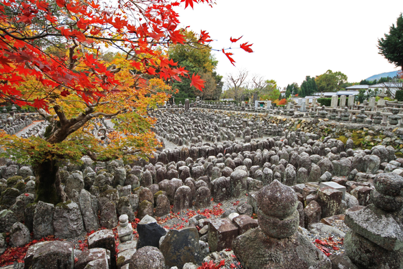 Autumn at Adashino Nenbutsu-ji.