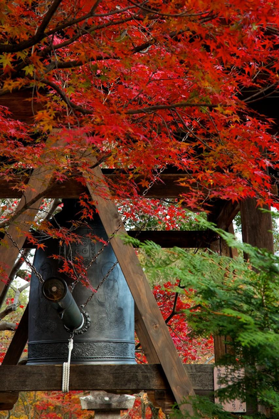 Autumn at Adashino Nenbutsu-ji.
