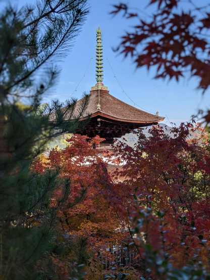 Jojakko-ji's pagoda, viewed from above.