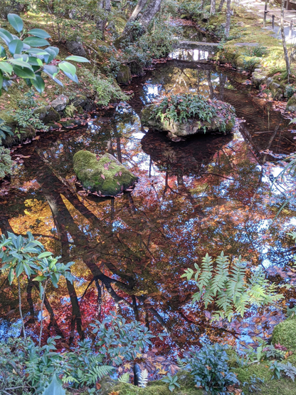 The pond at Jojakko-ji, reflecting the autumn colours.
