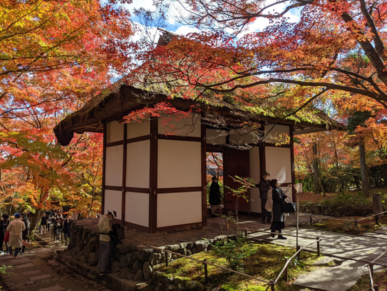 Jojakko-ji's thatched gate under a canopy of red and yellow maple leaves.